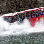 リーゼ - 参考画像)ダム湖に突っ込む水陸両用バス(湯西川ダム湖)