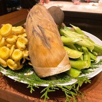 スガラボヴィー - 