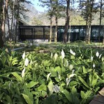 HOSHINOYA Guguan - ダイニング前の庭