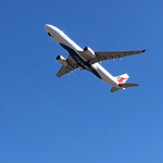 九十九里ファーム たまご屋さんコッコ - 