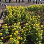 九十九里ファーム たまご屋さんコッコ - 