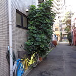 中華そば さわ - この植木どこまで伸びる？