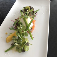 THE COSMOPOLITAN GRILL BAR TERRACE - 