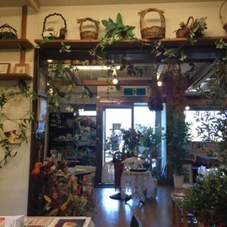 グリーンハウス_2