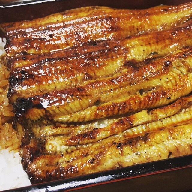 あやめ 清澄白河 うなぎ 食べログ