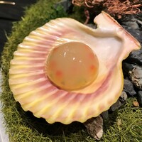 L'EAU - 水：アサリ、イクラ、あおさのり