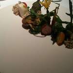 ブレストンコート ユカワタン - 