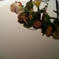 ブレストンコート ユカワタン - 