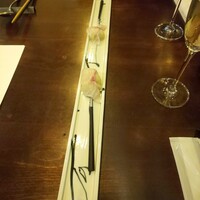 セルサルサーレ - 