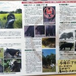 とんかつ 栄ちゃん - 