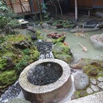 Tempura Nakasei - 中庭の池