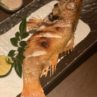 御曹司 松六家 - 