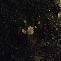 横浜うかい亭 - 