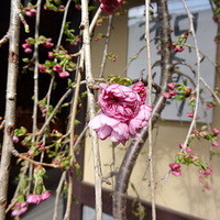 室町 和久傳 - 