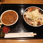 Poka Doggu - 鳥山菜うどんとミニカレー　\600(20-03)