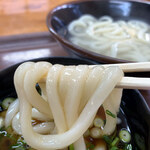 讃岐うどん 上原屋本店 - ヌメリがあって食感めちゃ良し