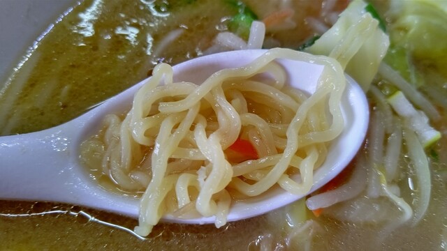 山びこ - 安比高原（ラーメン）の写真