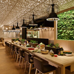 ハタケカフェ - 内観写真