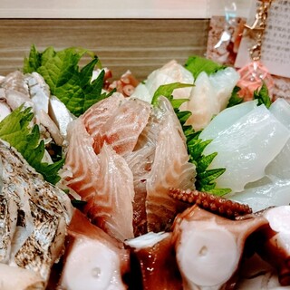 店主自らが東京湾で釣り上げた鮮魚を、一番美味しい状態でご提供