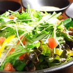 Senshu vegetable green salad