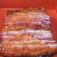 鰻割烹 伊豆栄 本店 - 蒲焼