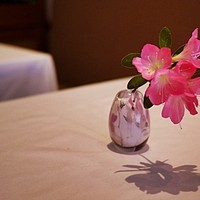 アーティショー - 