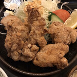 飯の肴 てらや - からあげ　アップ