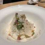 マンサルヴァ - 