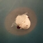 ビュー＆ダイニング コトシエール - 