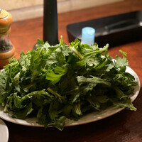 カルネジーオ イースト - 