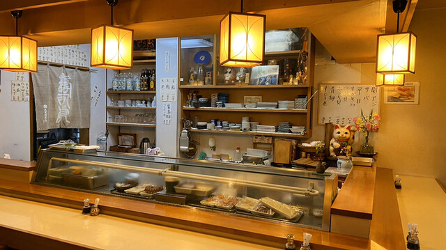 Hajime Zushi photo 4