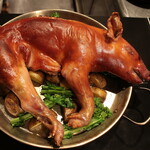 Grilled half-head of spanish suckling pig