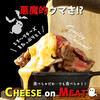 肉とチーズ料理 シカゴピザ ファームテーブル 新宿東口駅前店