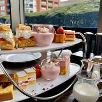 フレンチ キッチン - テラスの緑を見ながら