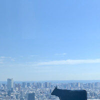 松阪牛 よし田 - 