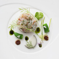 魚介のマリネ、ハーブサラダ