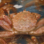 我們還有各種各樣的螃蟹菜餚，包括從農場直接運來的活大閘蟹和著名的蟹膏炸肉餅！