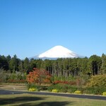 タンタローバ デル ミュゼオ 御殿場