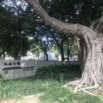 San Want Residences Taipei - 林森公園前にあるスモール・ラグジュアリー・ホテルです