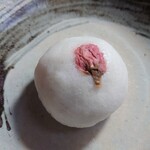 参松堂 - とろろっ娘