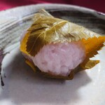 参松堂 - 美しき精緻さ