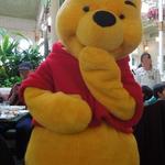 クリスタルパレス レストラン - 「ディズニーキャラクターブレックファスト」でプーさん