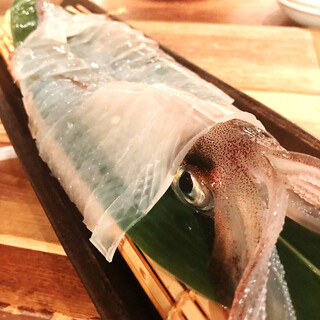 鮮度抜群！漁港から直接仕入れる新鮮な「活いか姿造り」を満喫♪