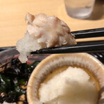 Ootoya - 