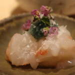 海味 - 北海道　ボタンエビ