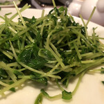 刀削麺・火鍋・西安料理 XI’AN - 季節野菜の炒め