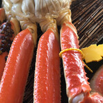 越前がに やまに水産 - 