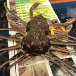 越前がに やまに水産 - 