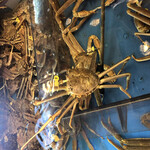 越前がに やまに水産 - 