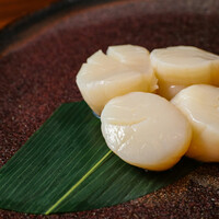 帆　立